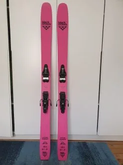 BLACK CROWS Corvus Freebird